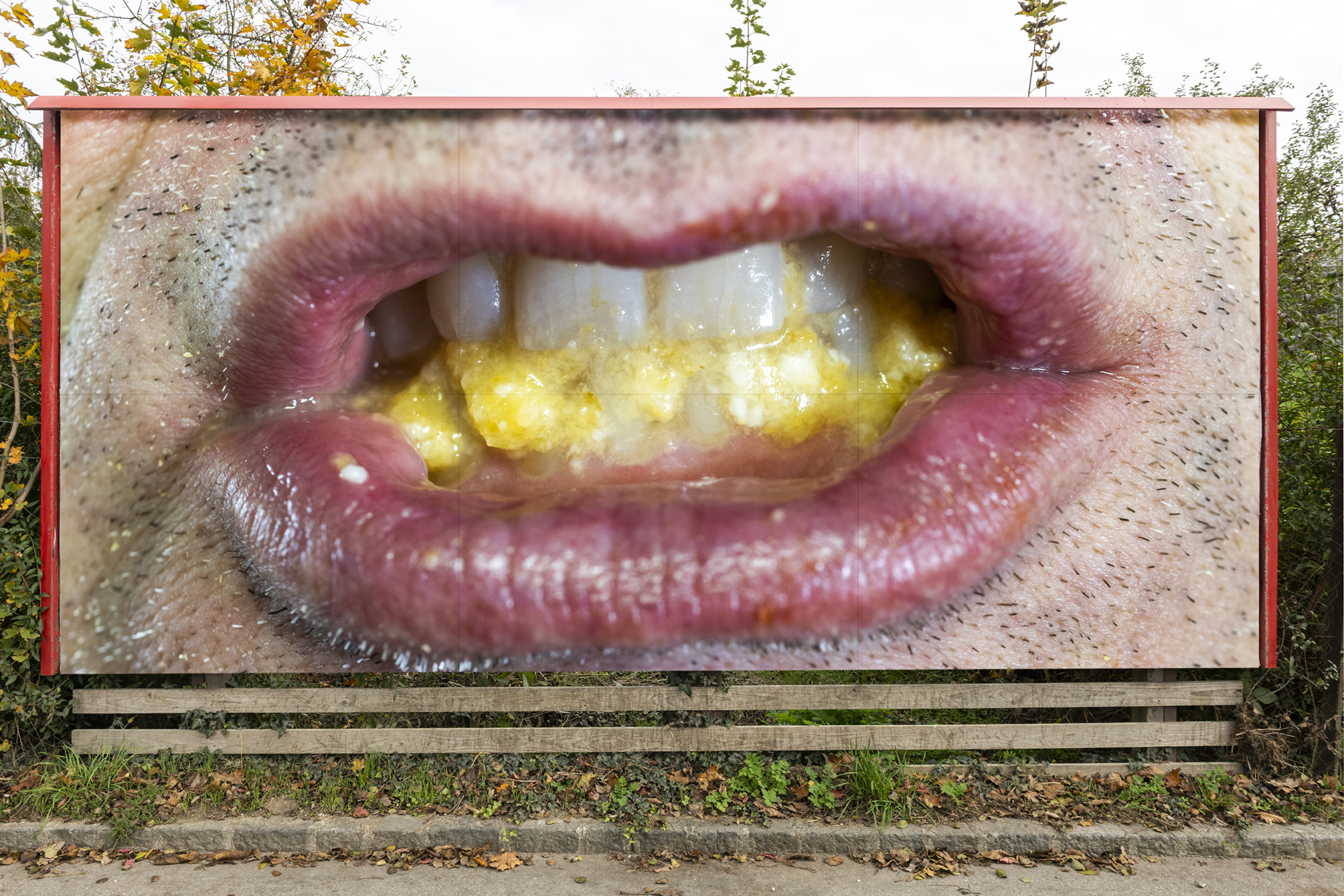 vorgekaut-1